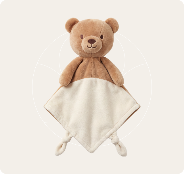 Dream Bear brown teddy comforter with cream blanket