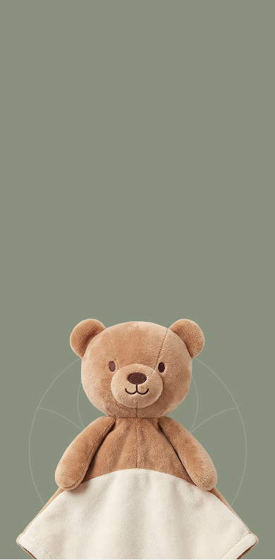 Snug a Bug plush teddy bear baby comforter