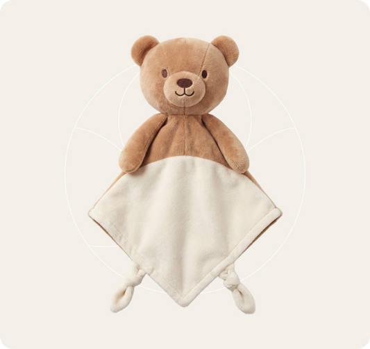 Dream Bear brown teddy comforter with cream blanket